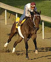 Buddy Gil, Frankel Trio Top Malibu Stakes Buddy Gil, Frankel Trio Top Malibu Stakes