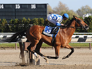 Pedigree Profile: Buddy's Saint Pedigree Profile: Buddy's Saint