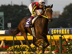 Buena Vista Dominates Tenno Sho Autumn Buena Vista Dominates Tenno Sho Autumn