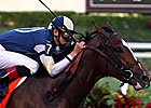 Buffalo Man, Shakis Vie in Dixie Stakes