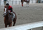 Buggin Out Wins Alabama-Bred Stakes in LA Buggin Out Wins Alabama-Bred Stakes in LA