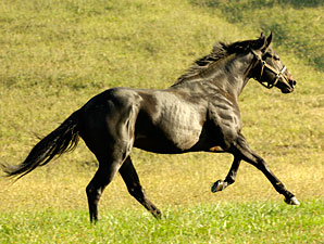 Morning Price Turns in Bullish OBS Work Morning Price Turns in Bullish OBS Work