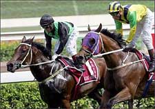 Silent Witness' 17-Race Win Streak Ends Silent Witness' 17-Race Win Streak Ends