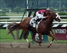Unbeaten Burmilla Makes Godolphin Debut in Ballerina Unbeaten Burmilla Makes Godolphin Debut in Ballerina