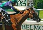 Grade I Winner Bushfire Retired Grade I Winner Bushfire Retired