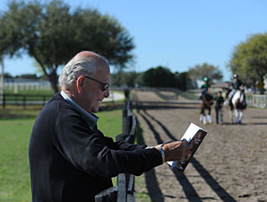 OBS March Session 1: Horses to Watch OBS March Session 1: Horses to Watch