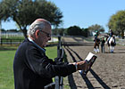 OBS March Session 1: Horses to Watch OBS March Session 1: Horses to Watch