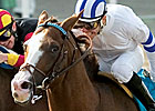 Buzzards Bay Back for All American
