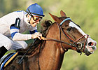 Buzzards Bay Sires First Foal Buzzards Bay Sires First Foal