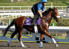 Buzzword Has Final Say in Deutsches Derby Buzzword Has Final Say in Deutsches Derby