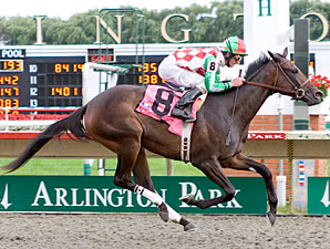Closeout, C.S. Silk Star at Arlington Closeout, C.S. Silk Star at Arlington
