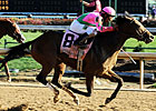 Ultimate Eagle, Jeranimo, Caleb's Posse Work