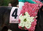 Zenyatta - 2010 Apple Blossom Zenyatta - 2010 Apple Blossom