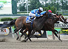 C C's Pal Tops 7-Horse Bed O' Roses Field