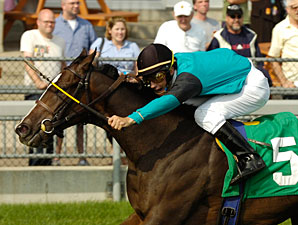 C Karma's Fortunes Soar in Natalma Win C Karma's Fortunes Soar in Natalma Win