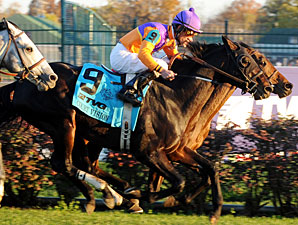 Court Vision to be Paraded at Woodbine Court Vision to be Paraded at Woodbine