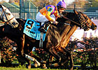 Breeders' Cup Chat: BC Wrap & HOY Debate Breeders' Cup Chat: BC Wrap & HOY Debate