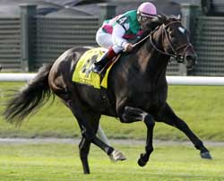 Turf Preview: Home Team Turf Preview: Home Team