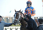 Caixa Eletronica Dies in Training Collision Caixa Eletronica Dies in Training Collision