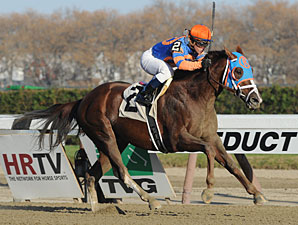 Caixa Eletronica Takes Fall 'Weight in Style