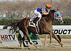 Caixa Eletronica to Defend Fall Highweight Caixa Eletronica to Defend Fall Highweight