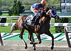 Claimer Caixa Eletronica Upsets Westchester Claimer Caixa Eletronica Upsets Westchester