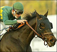 Cajun Beat Sizzles for Frankel in Turf Express Cajun Beat Sizzles for Frankel in Turf Express