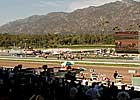 Cal Cup Moved Before Breeders' Cup Cal Cup Moved Before Breeders' Cup