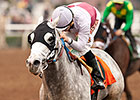 Calculator Breaks Through in Sham Stakes Calculator Breaks Through in Sham Stakes