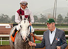 Calculator Adds to Ocala Stud Legacy Calculator Adds to Ocala Stud Legacy