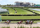 Calder Policy Restricts Gulfstream Shipping Calder Policy Restricts Gulfstream Shipping