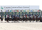 Calder Drops to Last in Host Track Business Calder Drops to Last in Host Track Business