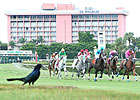 Calder, Horsemen Reach Purse Agreement