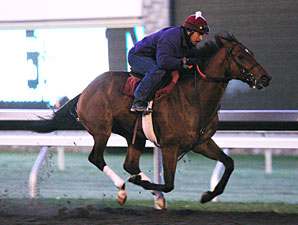 Caleb's Posse Breezes Again at Keeneland Caleb's Posse Breezes Again at Keeneland