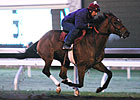 Caleb's Posse Breezes Again at Keeneland