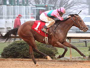 Caleb's Posse Rounds Up Smarty Jones Stakes Caleb's Posse Rounds Up Smarty Jones Stakes