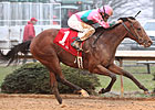 Caleb's Posse Rounds Up Smarty Jones Stakes Caleb's Posse Rounds Up Smarty Jones Stakes