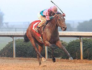 Ohio Derby Field Taking Shape Ohio Derby Field Taking Shape