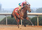 Ohio Derby Field Taking Shape Ohio Derby Field Taking Shape