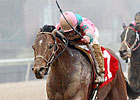 Caleb's Posse, Wilkinson Headline Ohio Derby Caleb's Posse, Wilkinson Headline Ohio Derby