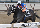 Calibrachoa Scratched From Carter