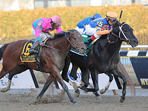 Tom Fool: Calibrachoa Holds Off Caleb's Posse