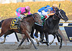 Tom Fool: Calibrachoa Holds Off Caleb's Posse Tom Fool: Calibrachoa Holds Off Caleb's Posse