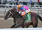Calibrachoa Faces Terrific Trio in Carter