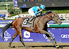 BC Marathon Winner Calidoscopio in Tokyo City