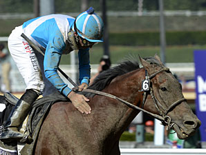 BC Marathon Winner Calidoscopio Nears Return BC Marathon Winner Calidoscopio Nears Return