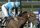 BC Marathon Winner Calidoscopio Nears Return BC Marathon Winner Calidoscopio Nears Return