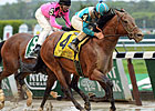 Marathon Winner Calidoscopio Retired to Stud Marathon Winner Calidoscopio Retired to Stud