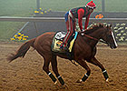 California Chrome Camp Dispels Sickness Rumor California Chrome Camp Dispels Sickness Rumor