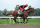 California Chrome on Schedule at Belmont Park California Chrome on Schedule at Belmont Park